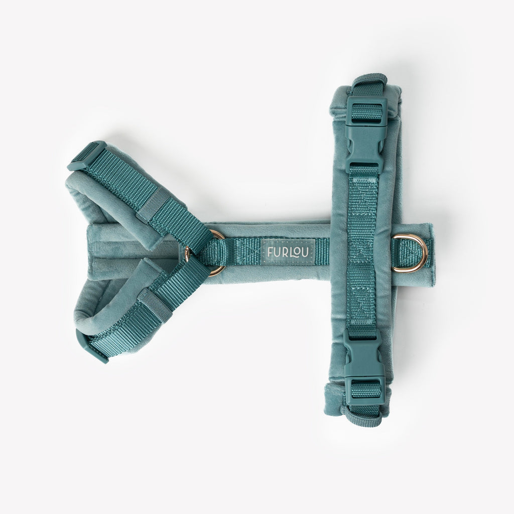 Blue - Velvet Dog Harness