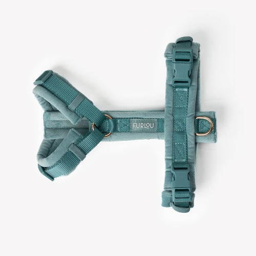 Blue - Velvet Dog Harness