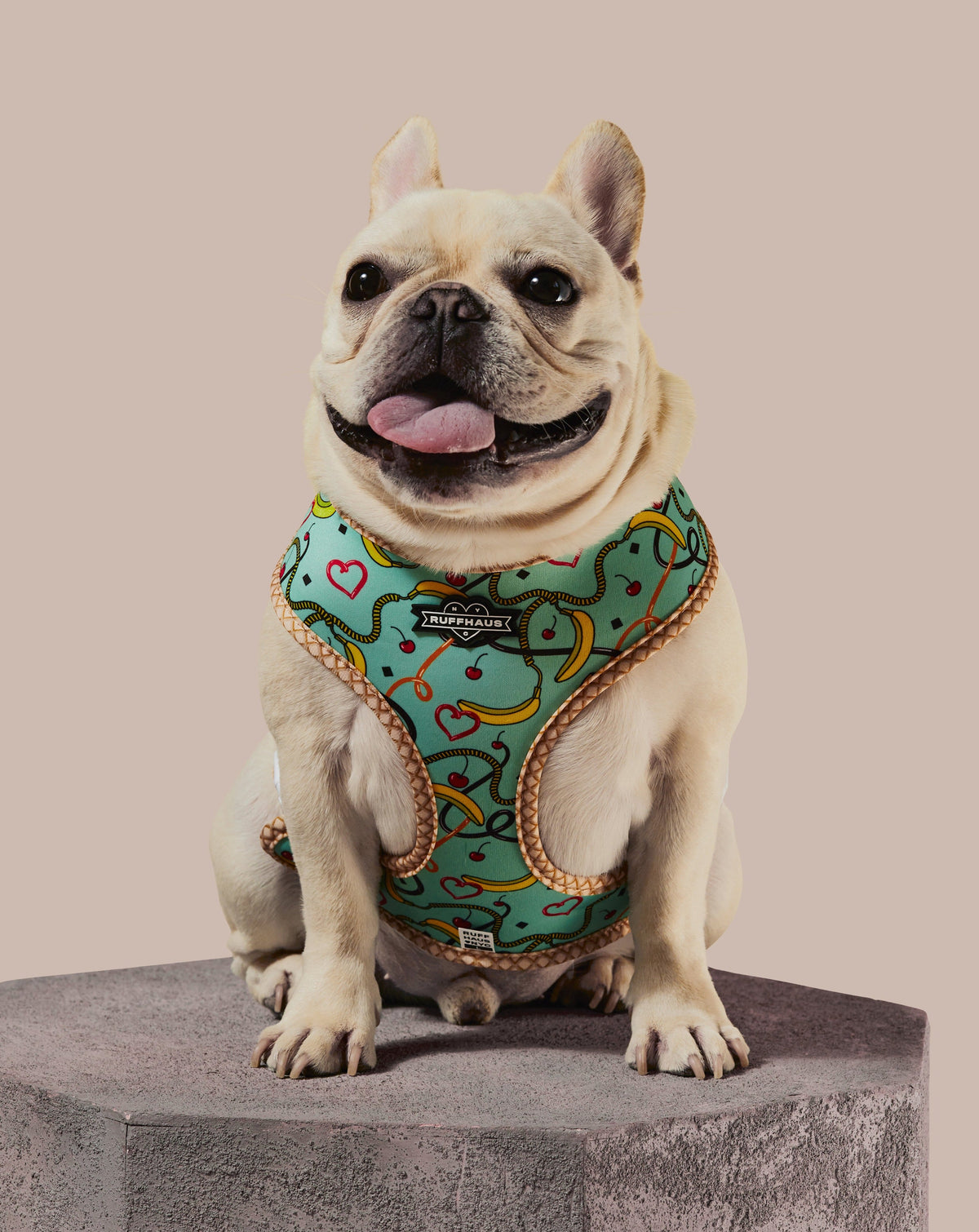 Sprinkle Me Blue Reversible Harness