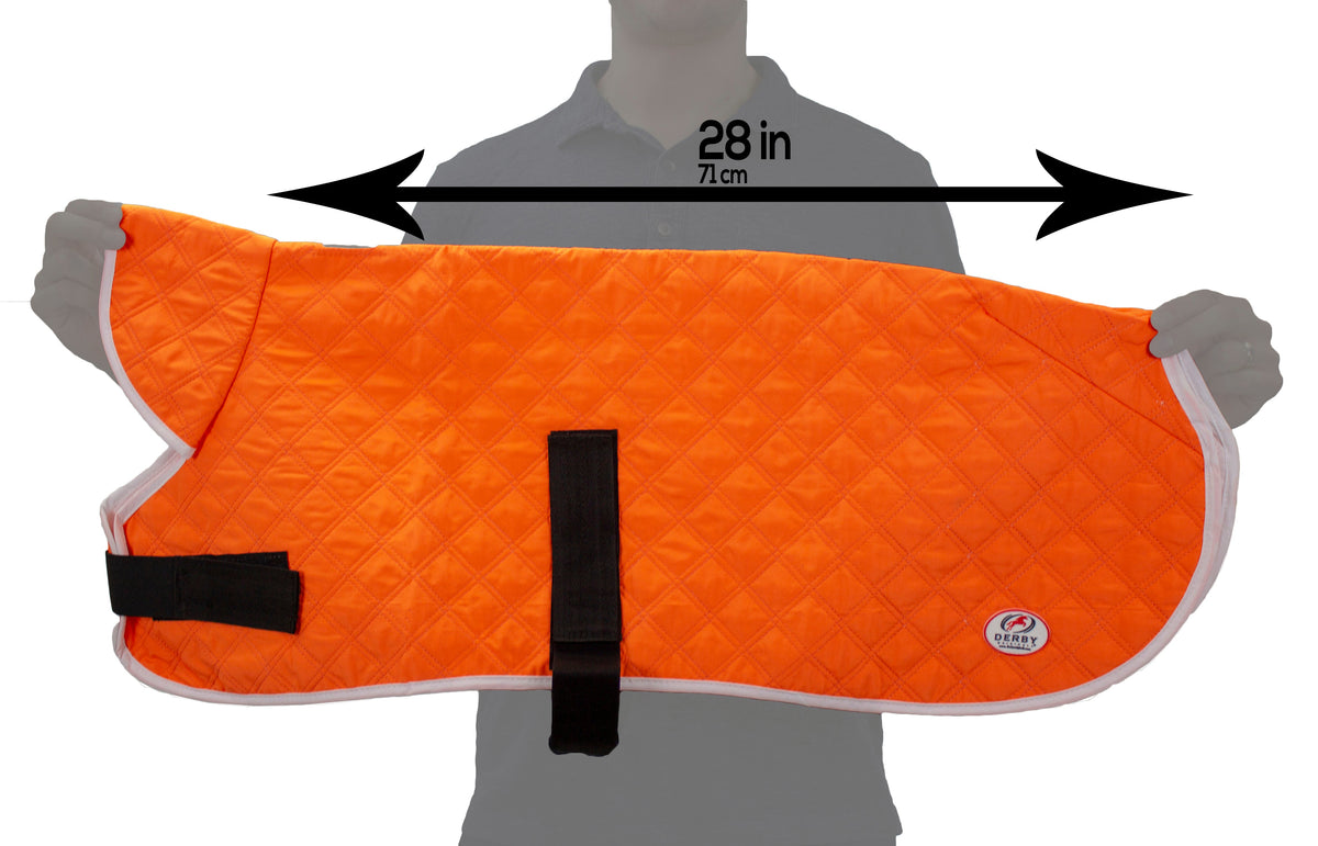 Derby Originals Hydro Cooling Dog Jacket with Harness Compatible Opening, Reflects Heat & Keeps Dogs Cool for up to 10 Hours