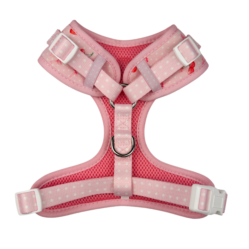 Sweet Chérie Adjustable Harness
