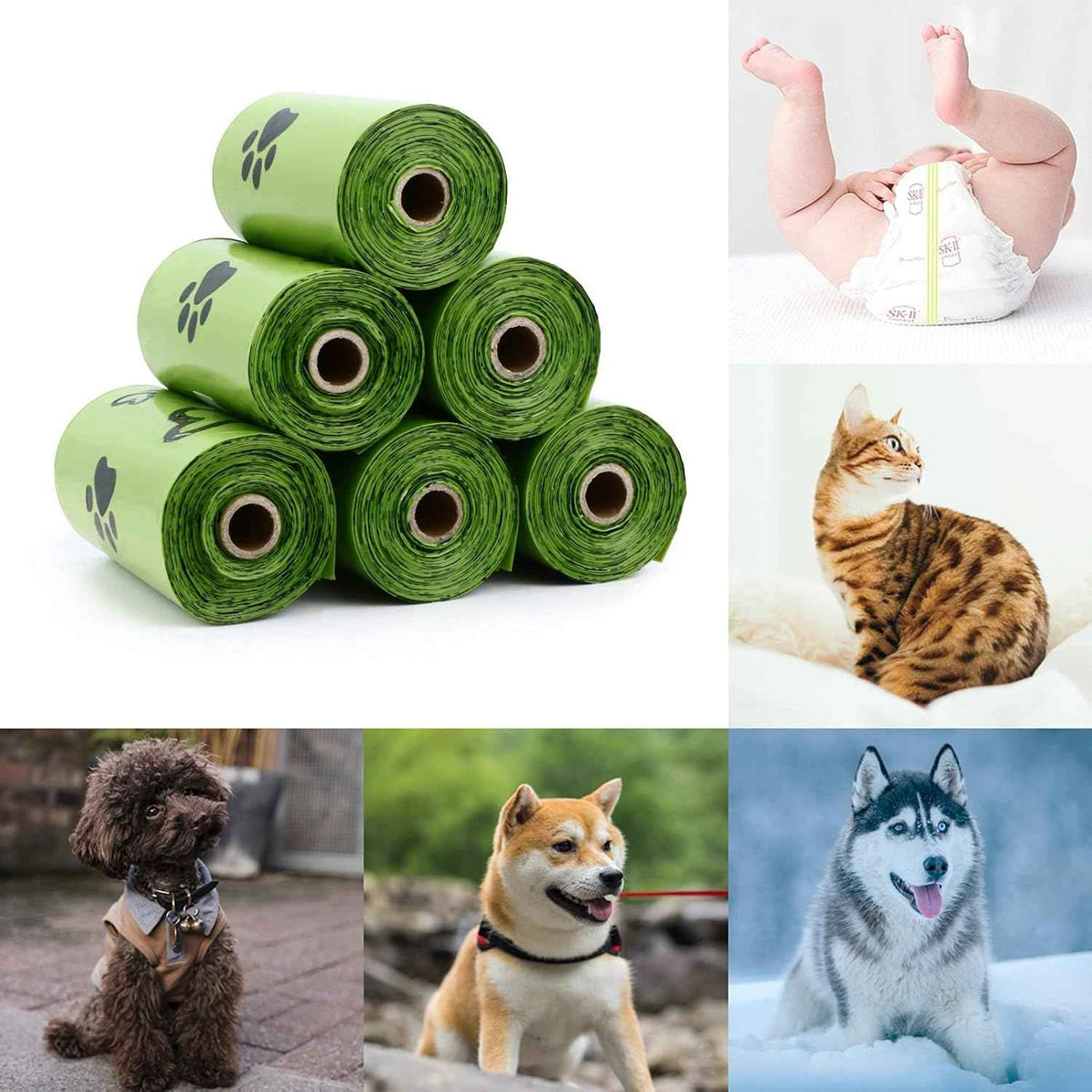 Dog Poop Bags for Every Adventure | Leak-Proof, Eco-Friendly