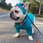 HYGGEPET Pet Clothing Fashion Brand Street Dog Clothing Fadou Teddy Schnauzer Undercoat Hat Set