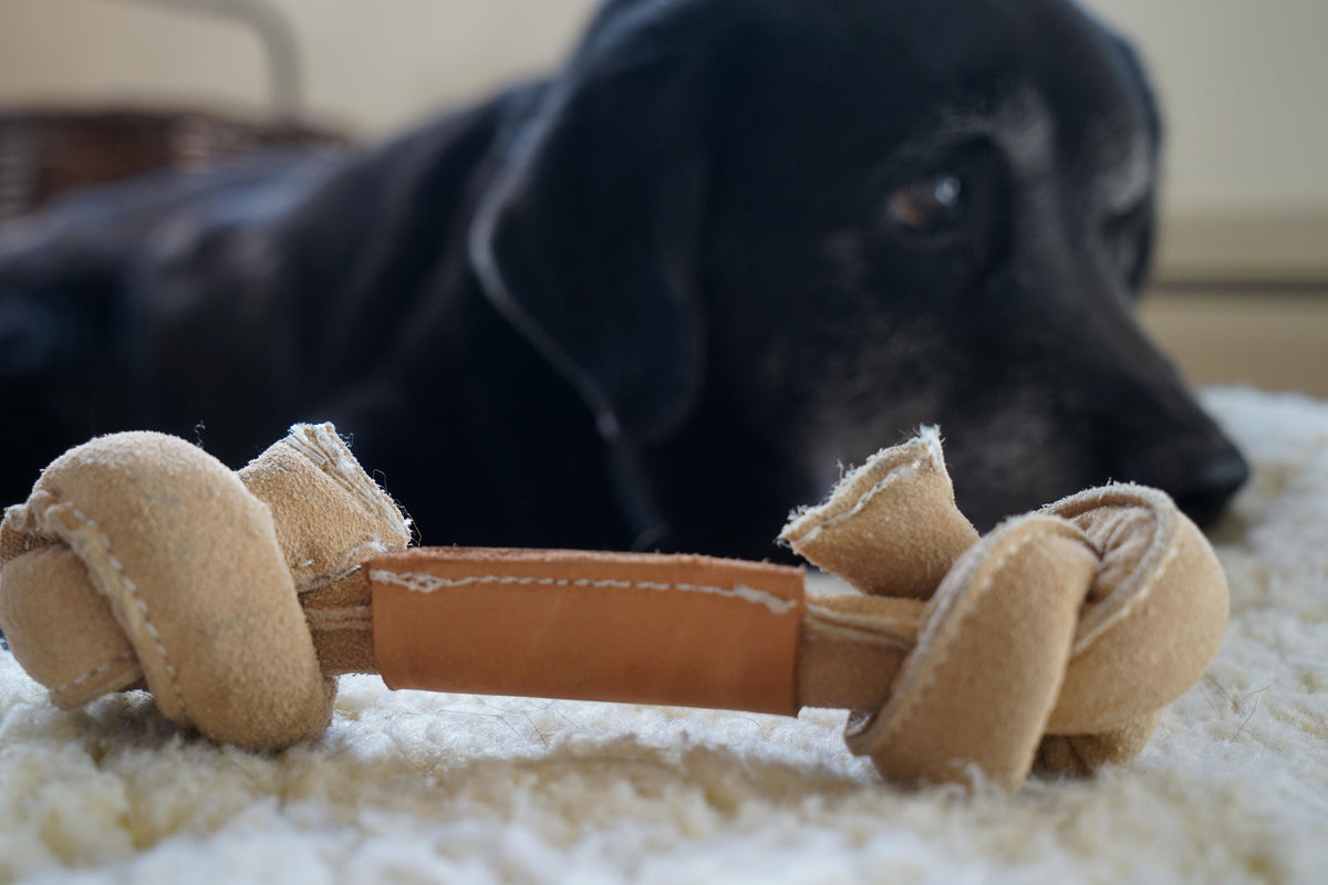 Huggle-Hide® Natural Leather Bone Dog Toy, 3 Pack