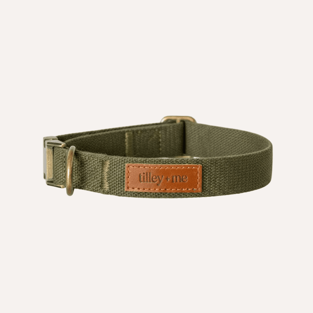 Tilley + Me Hemp Cotton Dog Collar – Durable, Adjustable, Soft – Joshua Tree