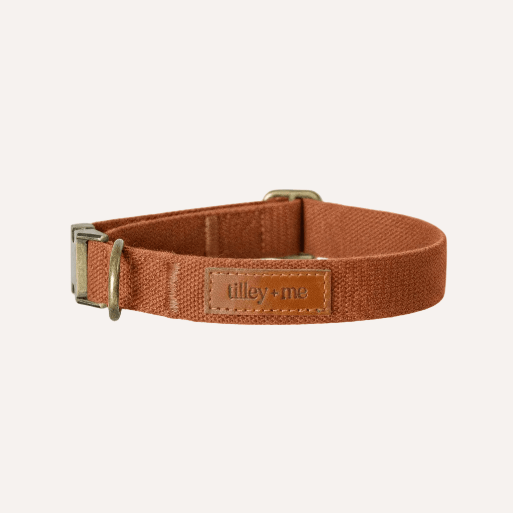Tilley + Me Hemp Cotton Dog Collar – Durable, Adjustable, Soft – Joshua Tree