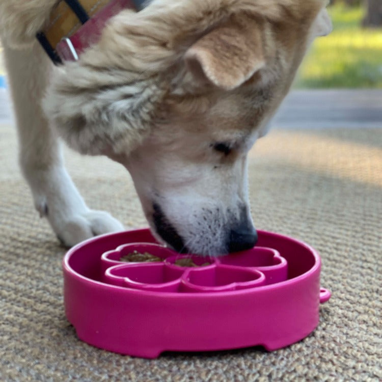 Flower eBowl Deep Slow Feeder Dog Bowl for Enrichment | USA Made