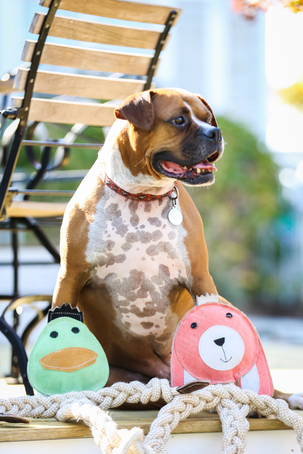 Dilly Duck Natural Rope Knottie® Dog Toy, Large (9mm diameter)