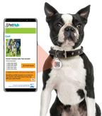 PetHub QR Pet ID Tag – Get Me Home Club