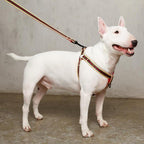 Le Classic Dog Harness
