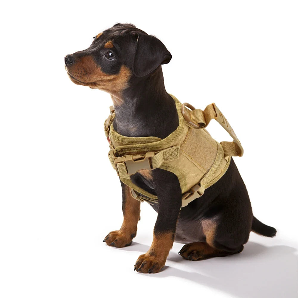 Tactical Puppy Harness Leash Set – Adjustable Military-Style Vest for Small Dogs & Cats, Ideal for Training & Walking