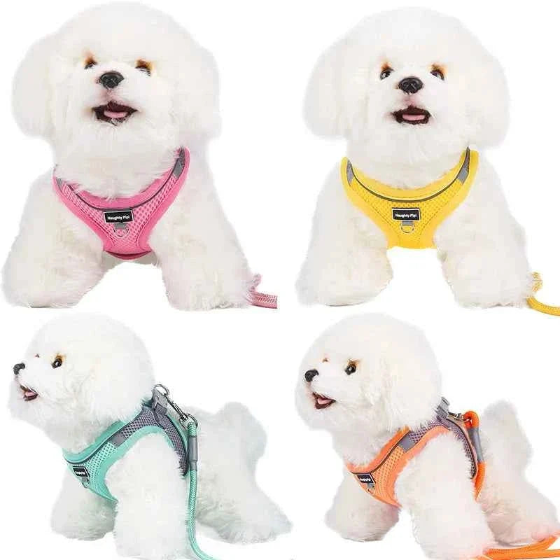 Adjustable Dog Harness & Leash Set for Small Dogs – Comfortable & Safe Walking Gear