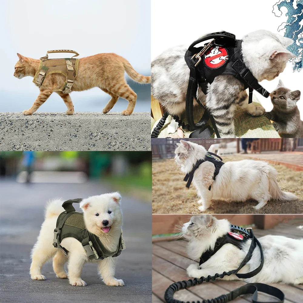 Tactical Puppy Harness Leash Set – Adjustable Military-Style Vest for Small Dogs & Cats, Ideal for Training & Walking