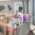 Flocktail Hour  - Adjustable Dog Harness