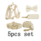 Milky White Velvet Set