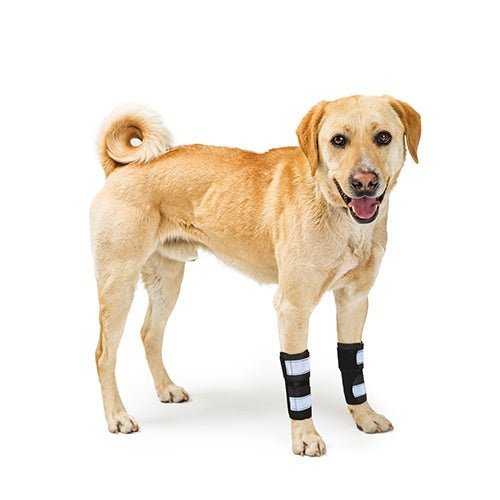 NeoAlly Dog Front Leg Brace with Reflective Straps - Metal Spring Inserts for Carpal Support (Pair)