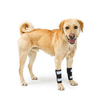 NeoAlly Dog Front Leg Brace with Reflective Straps - Metal Spring Inserts for Carpal Support (Pair)