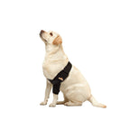 NeoAlly Elbow and Shoulder Brace for Dogs and Cats - Optimal Support for Pet Mobility