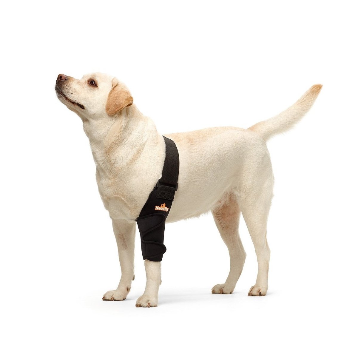 NeoAlly Elbow and Shoulder Brace for Dogs and Cats - Optimal Support for Pet Mobility