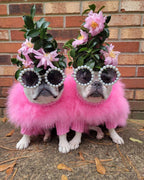 Haute Couture Feathered Luxury Pet Sweater