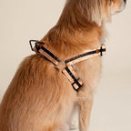 Le Classic Dog Harness